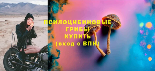 PSILOCYBIN Ессентукская