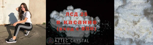 крисы Михайловск