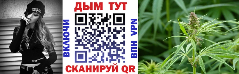Шишки марихуана семена  Таштагол 